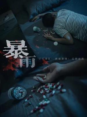 The Storm poster1